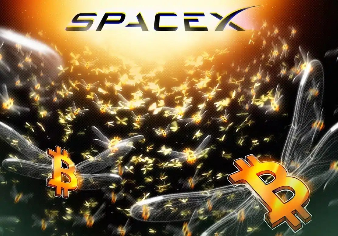 SpaceX Moves $268.5 Million in Bitcoin Amid Market Decline