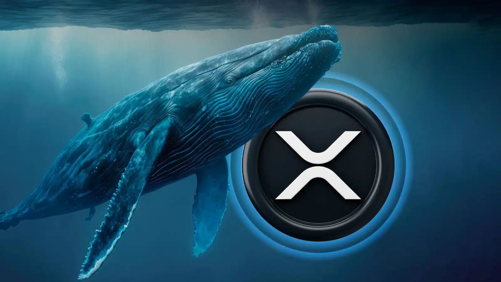 Whales Dump 500,000 XRP in Just 48 Hours, Triggering Market Concerns
