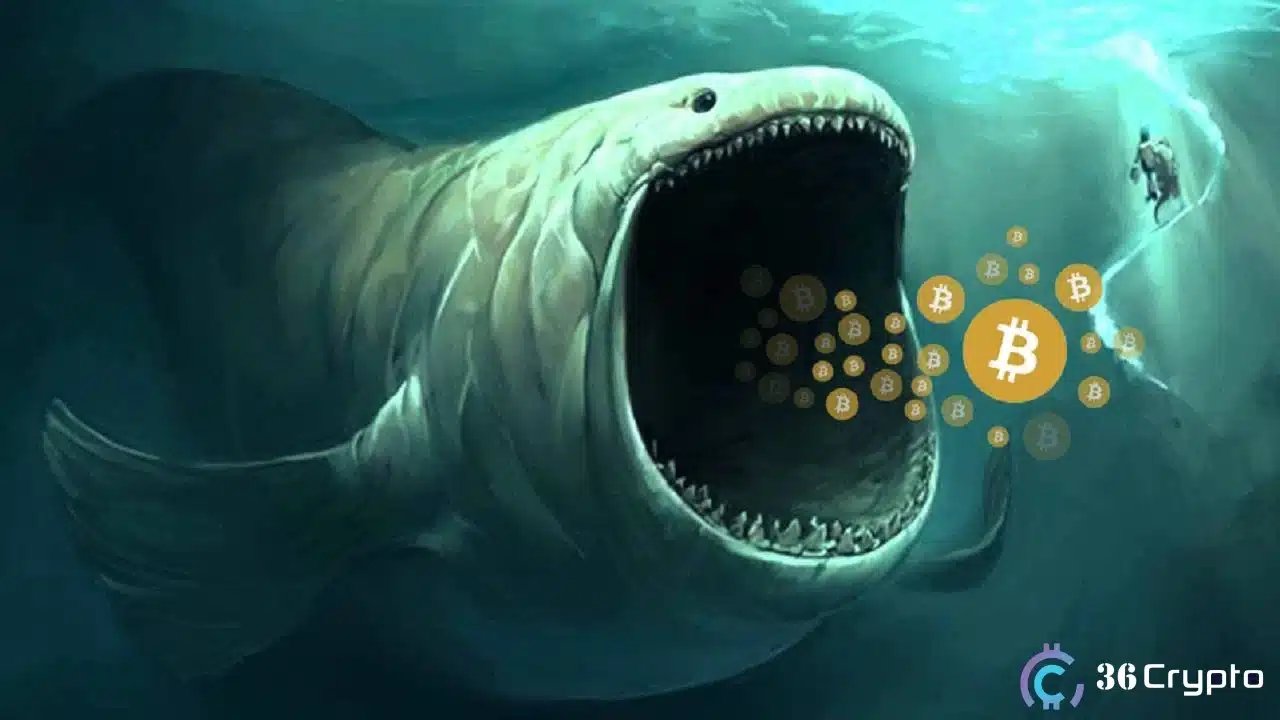 Massive $2.75B Bitcoin Sell-Off Sparks Whale Buying Frenzy – What Happens Next?