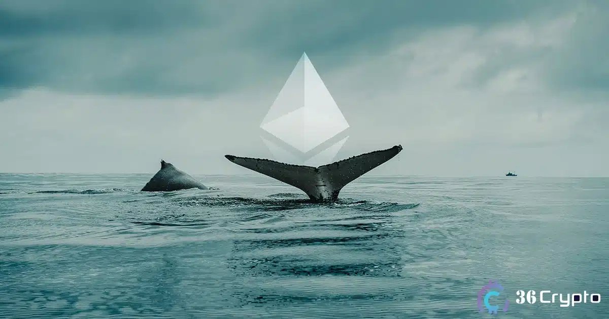 Ethereum Holds Key $3,000 Line as Whales Scoop Up $1.12 Billion in Massive Accumulation
