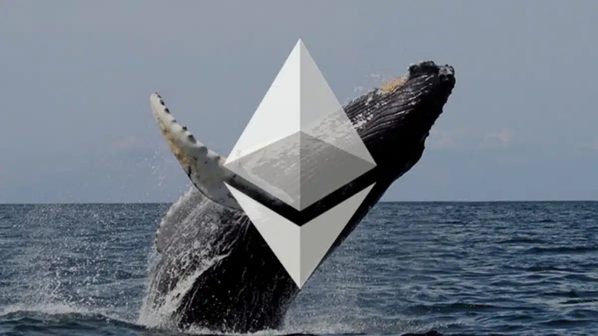 Ethereum Whale Withdraws 10,000 ETH Worth $31.91M, Signals Long-Term Hold Strategy