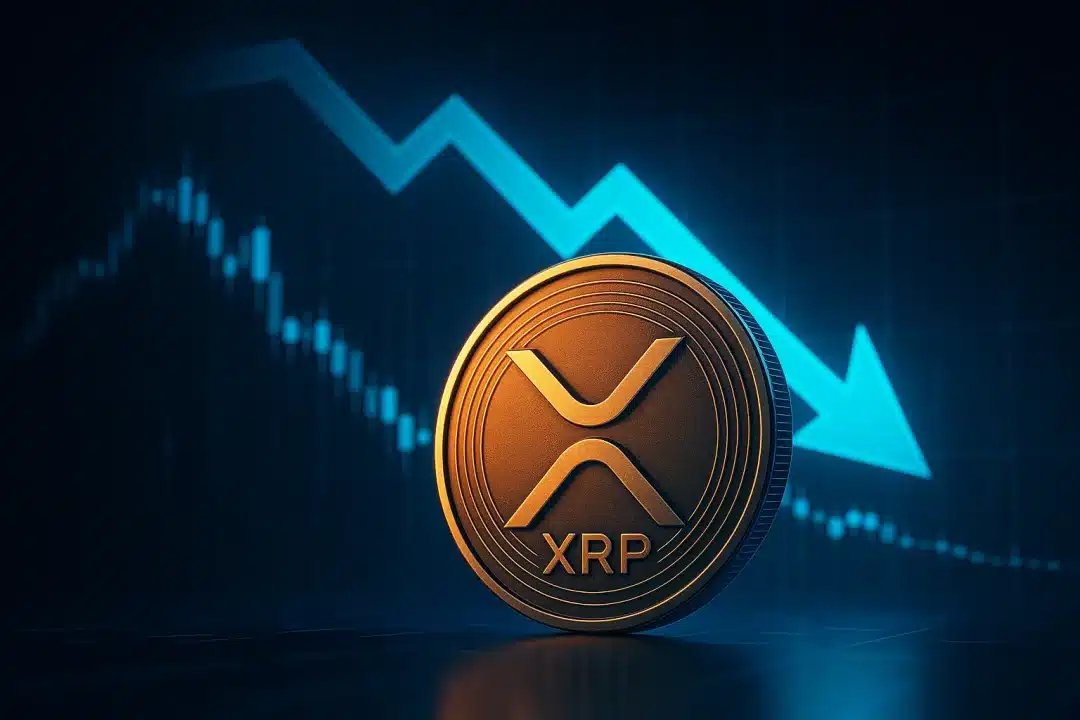 XRP Price Plunge Amid Ripple’s CTO Announcement