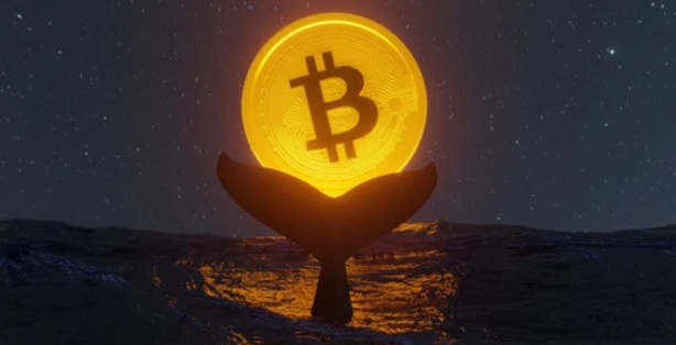Bitcoin Whale Exits $1.3B Position as Institutions Tighten Grip on ETFs