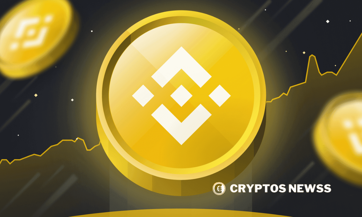 BNB Ecosystem Booms in 2025: Record Growth and Rising Investor Confidence