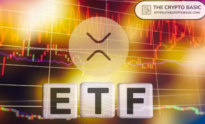 XRPL Foundation Board Director Explains Why XRP Price Is Down Despite ETF Launch