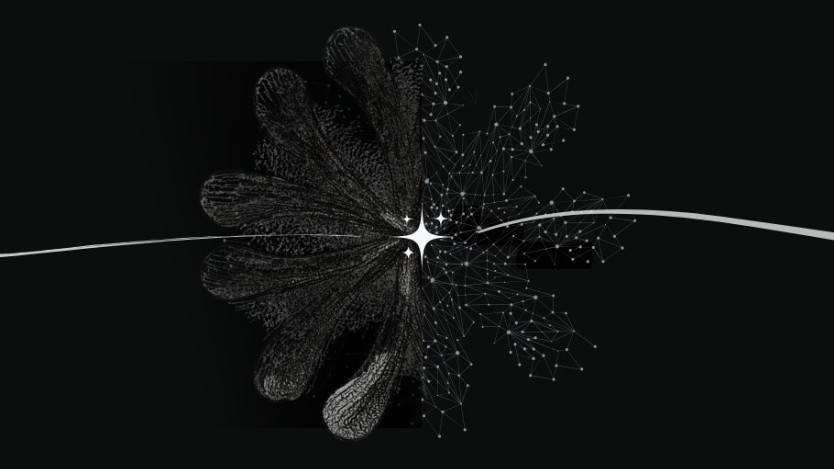 Traditional Knowledge Graph vs. Vector-Based ⚡️