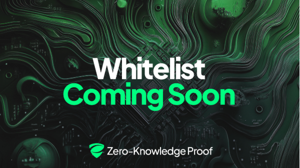 Before the Noise Begins: Zero Knowledge Proof (ZKP) Opens Its Whitelist for True Verifiers