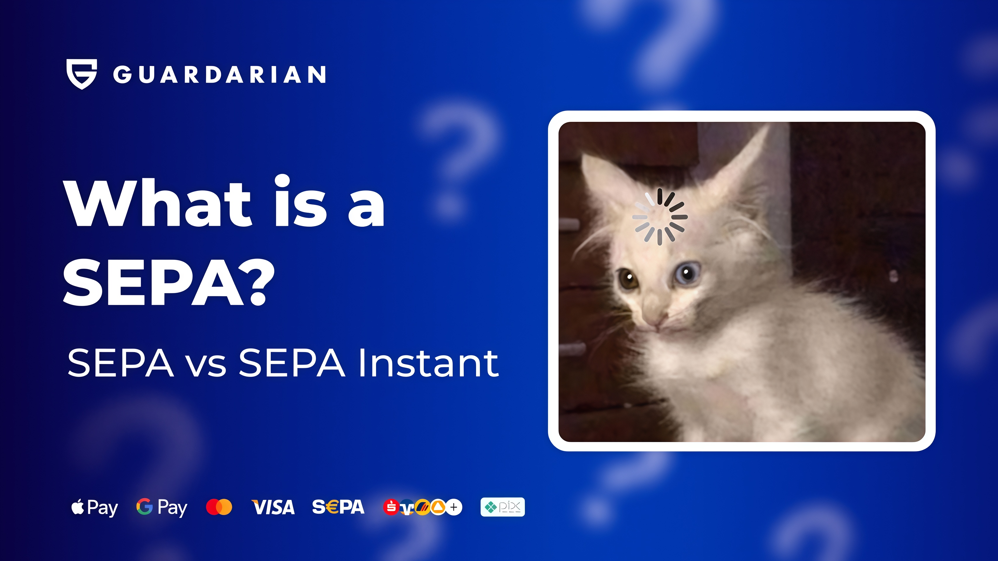 SEPA vs SEPA Instant: How to Buy Crypto with SEPA Fast & Secure
