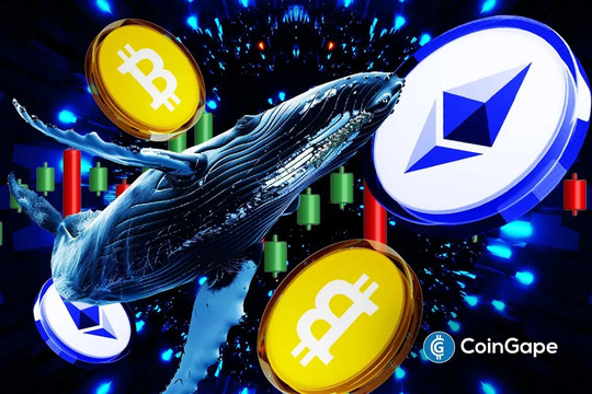 Whales and Institutions Bet Big On Bitcoin And Ethereum Despite Market Dip