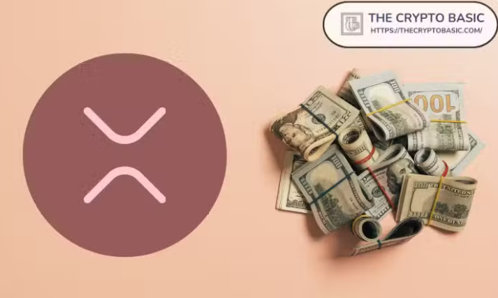 XRP Rich List Shows Large Whales Have Amassed $7.7B in XRP Since August