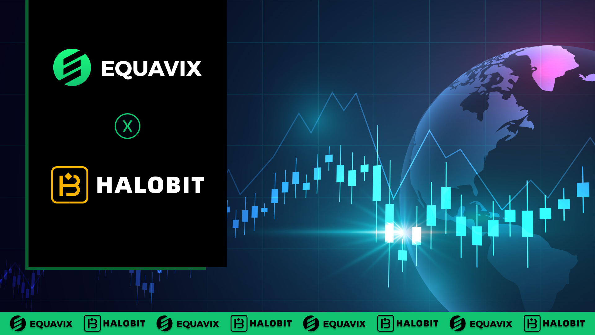 HALOBIT and the Power of AI: Trust and Real Growth in the Crypto World