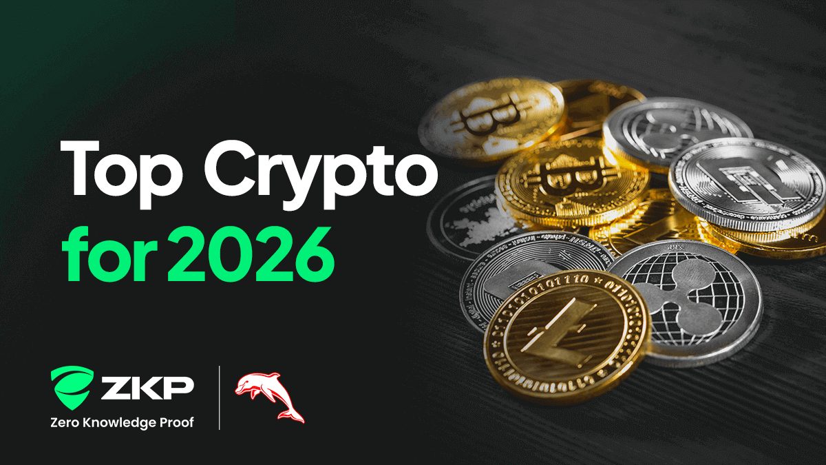 Compare ZKP, RNDR, AKT, & FIL: Which Top Crypto Asset Wins 2026?