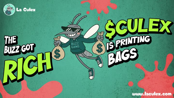 Bitcoin Slips Below $113K While La Culex, FLOKI & Polygon Battle for the Title of the Best 1000x Crypto for November