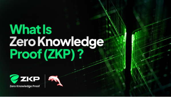 Zero Knowledge Proof (ZKP) Presale Auction Explodes as Buyers Rush In to Join Early Stages Before Demand Booms