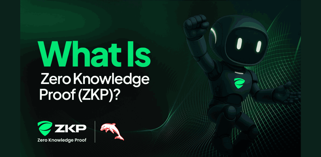 What Is ZKP Crypto? How Zero Knowledge Proof Differs From Ethereum, Solana & Other Blockchains
