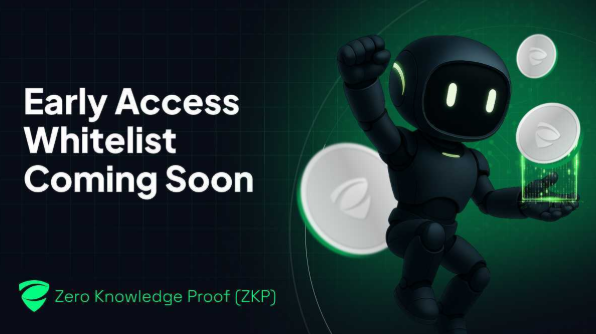 Zero Knowledge Proof (ZKP) Merges Privacy and Performance in One Layer: Whitelist Will Open Soon