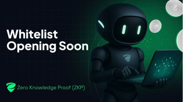 The Whitelist Countdown Is On: Don’t Miss Early Access to Zero Knowledge Proof