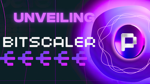 BitScaler Unveiled