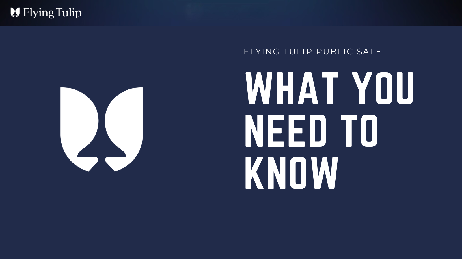 Flying Tulip Public Sale: What You Need to Know