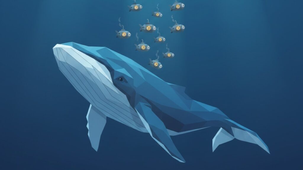 Dogecoin Whale Activity Plunges to 2‑Month Lows, Raising Exit Concerns