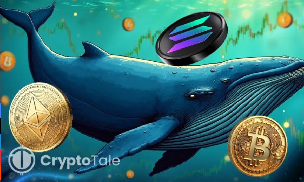 Whale With Perfect Record Bets $275M on Bitcoin and Ethereum