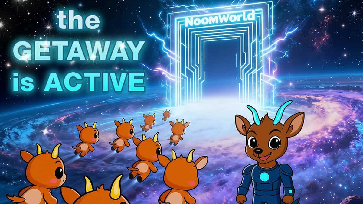 Cryptocurrency for Beginners: What Is a Meme Coin and How Do You Spot a Winner?