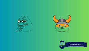 Meme Coin Trader Explains Why FLOKI Could Be the Next Big BNB Play