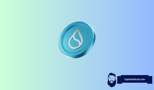 How High Can SUI Price Spike This Cycle? Here Are Three Possibilities