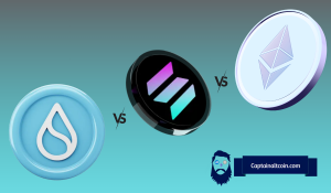 Sui Matches Solana but Trades at a Fraction of Its Market Cap