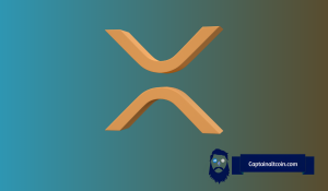 XRP Rich List Update: 78 New Accounts Bought 77M XRP in Just One Day