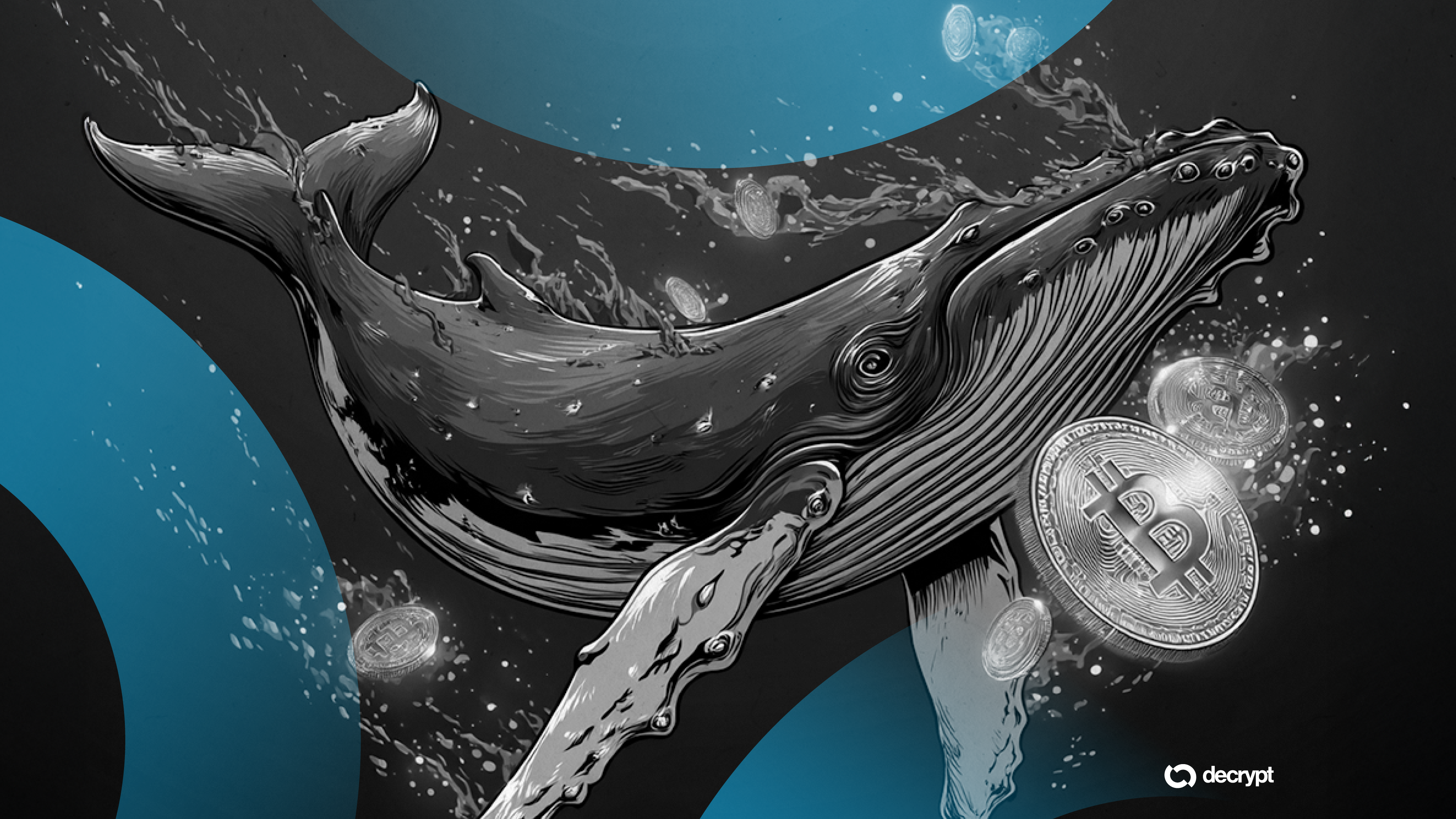 Bitcoin Whale Moves $20M to Binance Amid Broader Selling Pressure