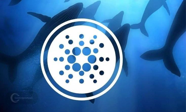 Whales Buy 70M ADA As Cardano Re-joins NASDAQ Crypto ETF