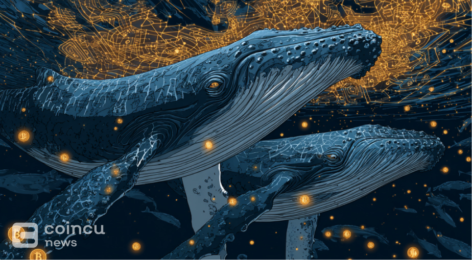 Whales Accumulate 13 Million Chainlink LINK Tokens in Just One Week