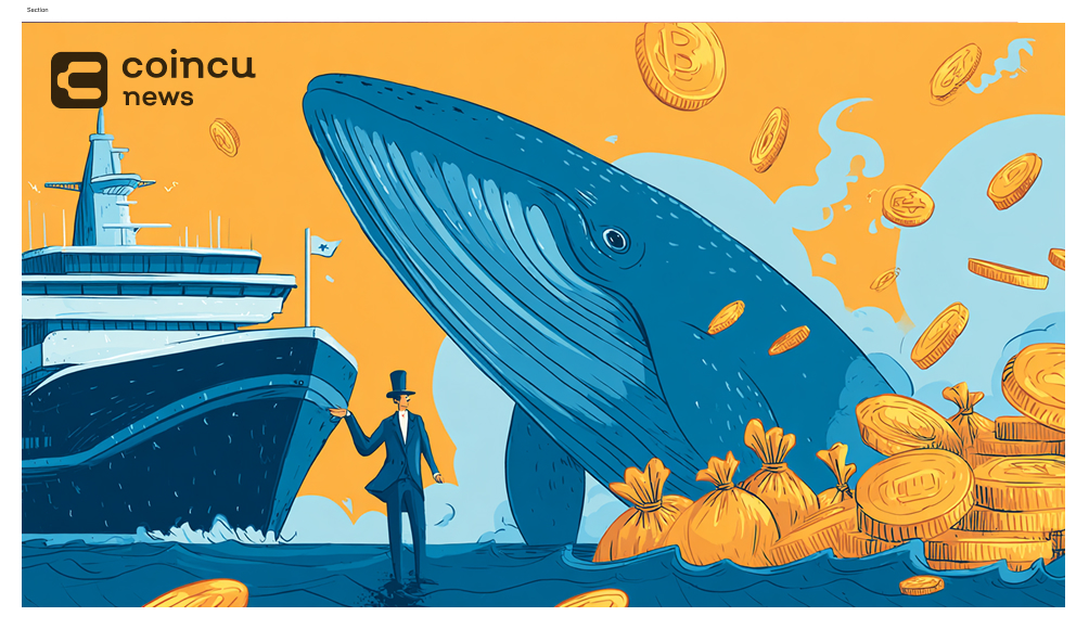 Whales Dump 70M XRP in 48 Hrs :Is a Crash Next?