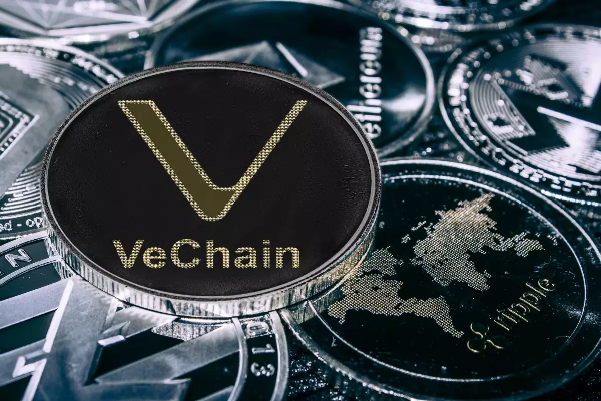 VeChain Treasury Falls to $167M as VET Struggles