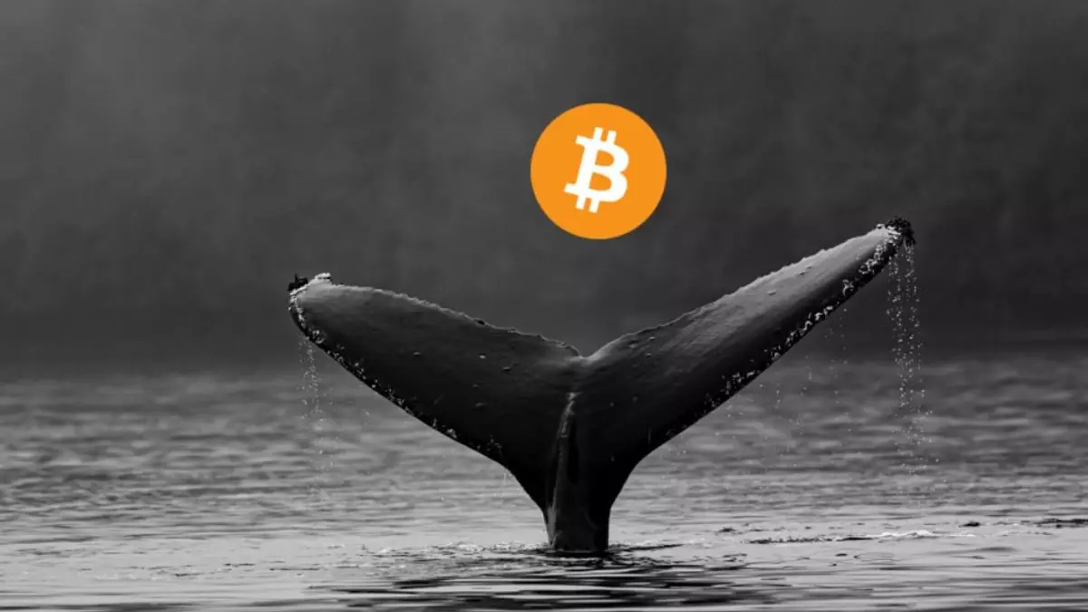 Bitcoin Sentiment Hits a 5-Week Fear High: Whales Bought 10,000 BTC in 72H Anyway
