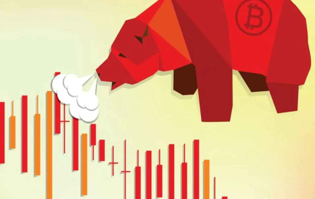 Next Crypto Bear Market Could Be the Harshest Yet, Warns Crypto Expert