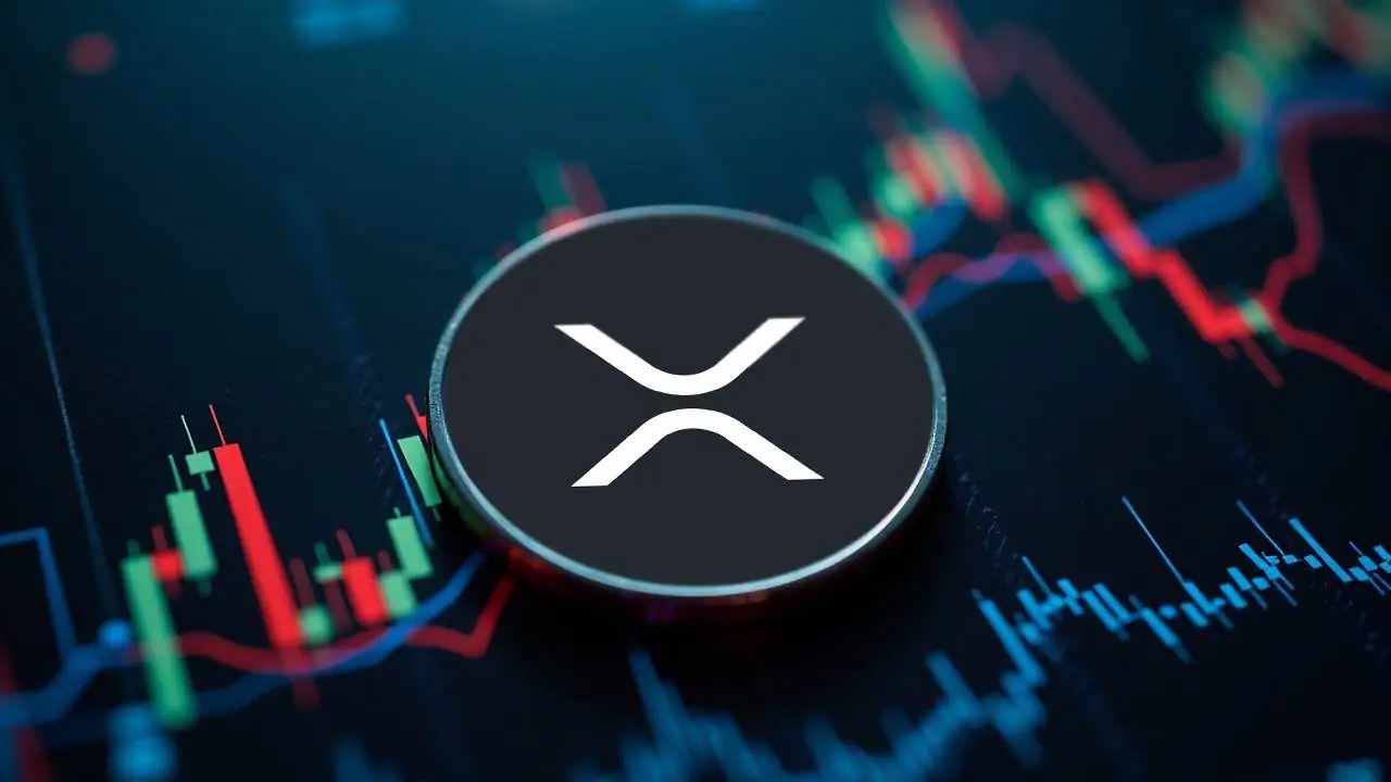 XRP Faces Renewed Pressure as Network Activity Collapses