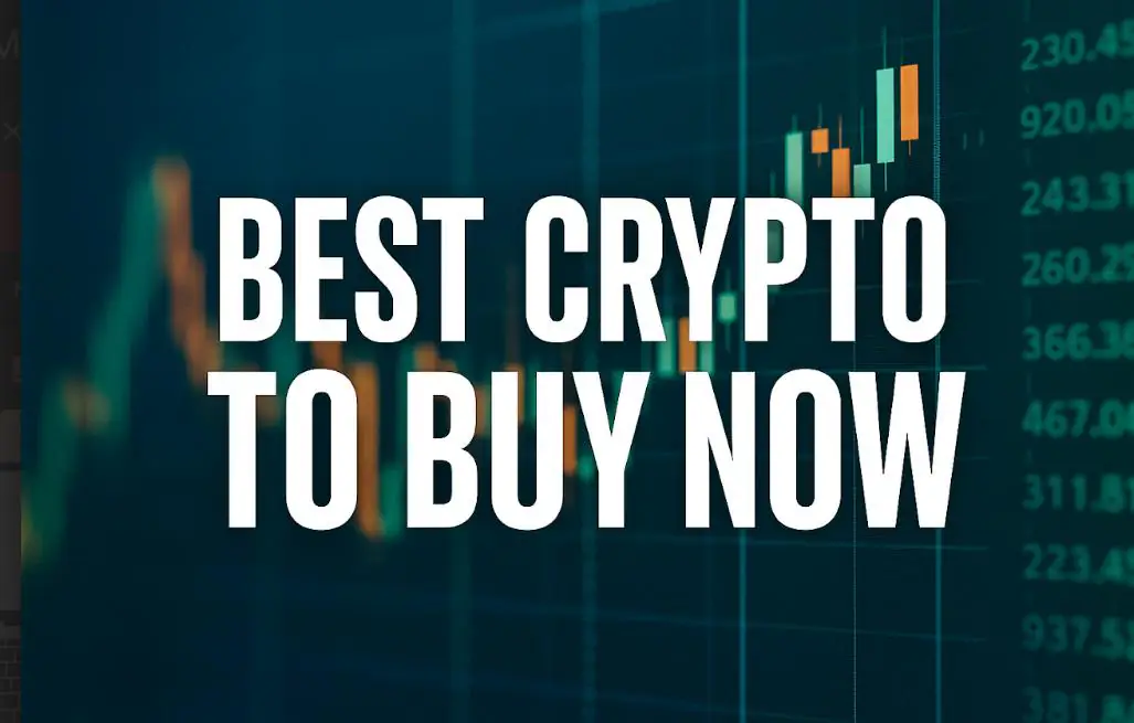 Dogecoin Updates: The Hottest Cryptos To Buy Now For The Highest Gains Listed Here
