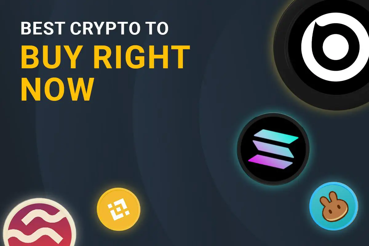 Best Crypto To Buy Right Now – November’s Handpicked Cryptos for Massive Gains