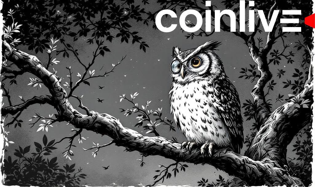 Analysts Debate Bitcoin's Potential Market Bottom