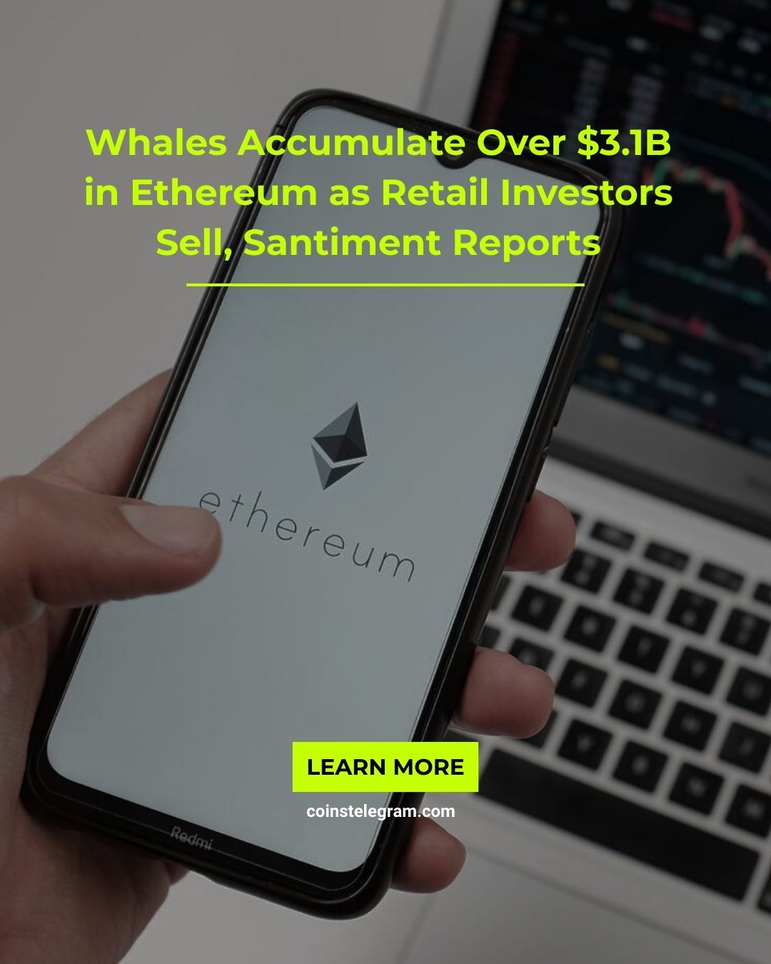 Whales Accumulate Over $3.1B in Ethereum as Retail Investors Sell, Santiment Reports
