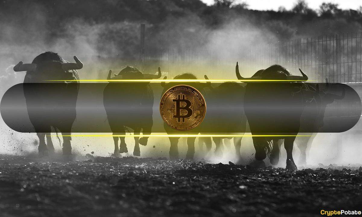 Is Today’s $165B Crypto Market Rally The Start of a Massive Bull Run?