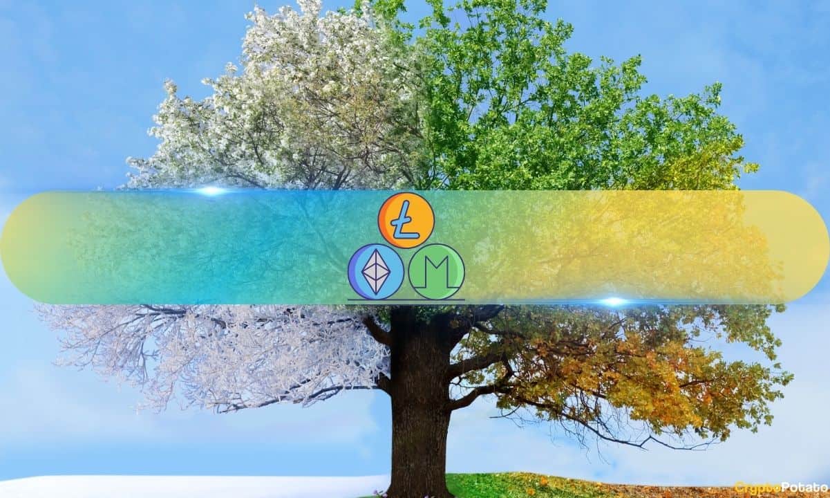 Bitcoin’s Inflection Point: Will Altcoins Seize the Next Liquidity Wave?