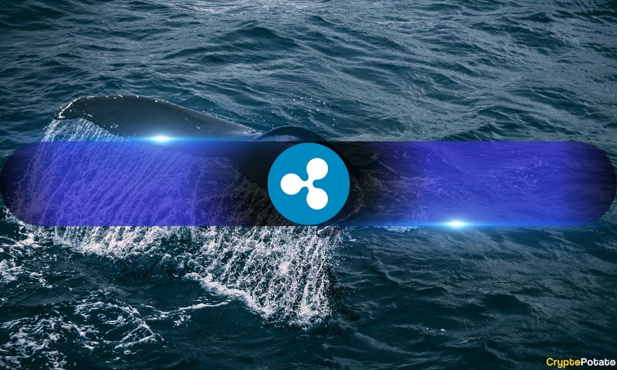 XRP Price Stalls Despite Bullish Fundamentals as Whales Keep Selling