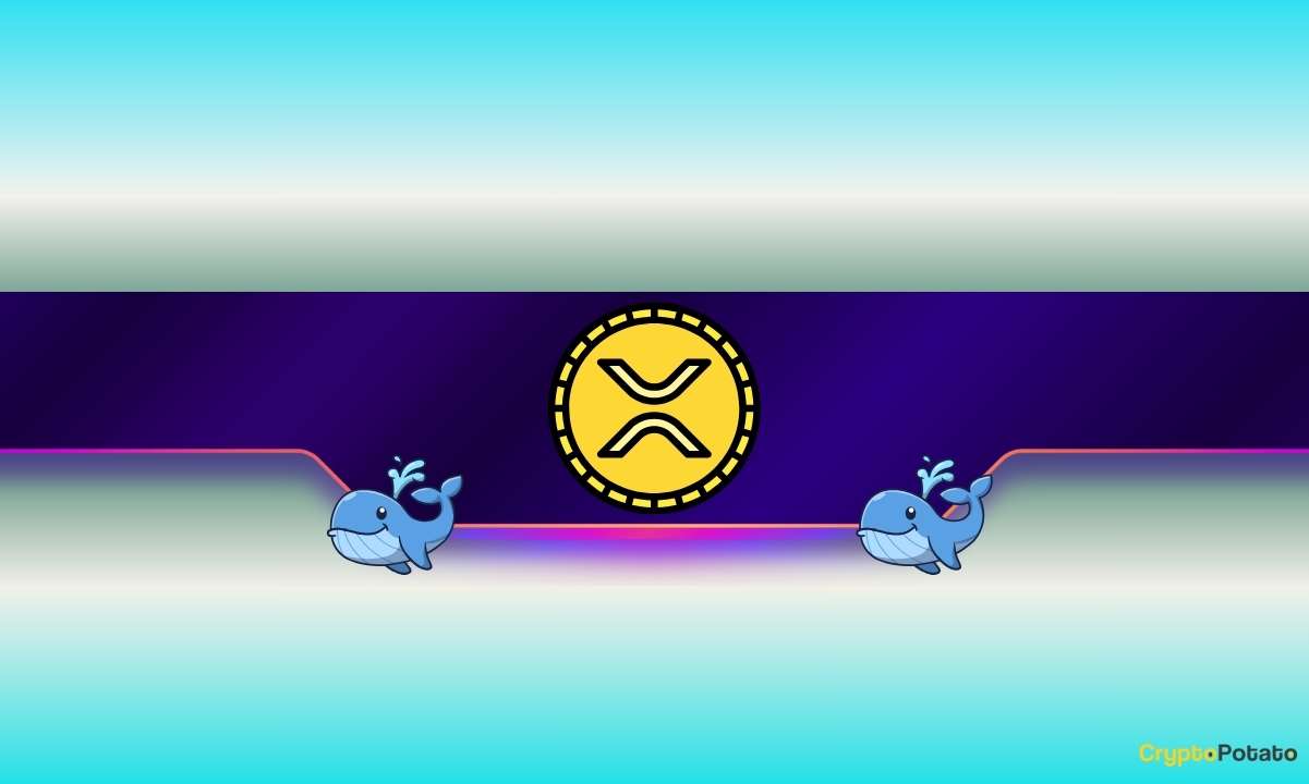 250,000,000 XRP Bought in 2 Days: What Are Ripple Whales Up To?