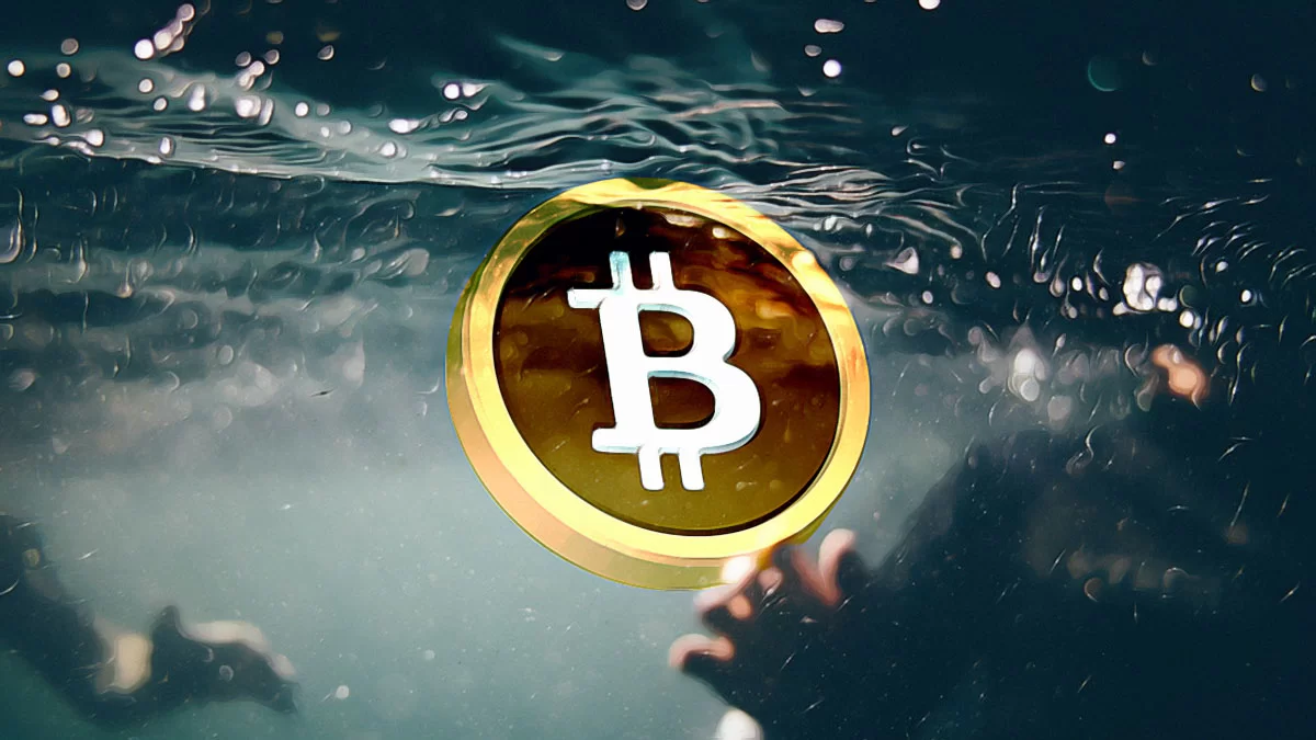 Bitcoin’s Volatile Ride Continues with Whale Moves Spurring Concerns