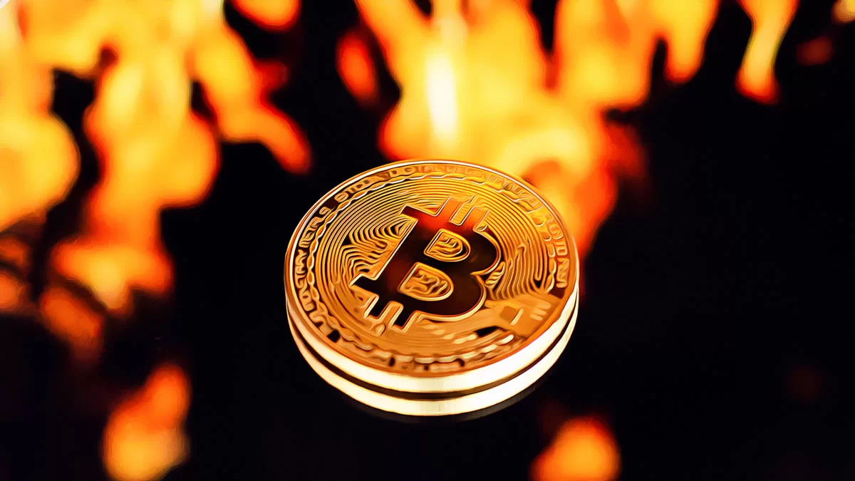 Bitcoin’s New Heights: The Forces Behind Its Recent Rise