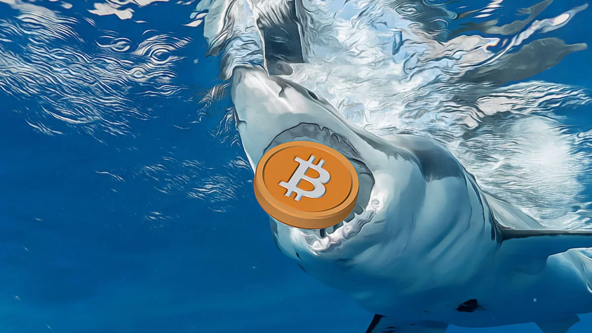 Metaplanet Boosts Bitcoin Assets Significantly