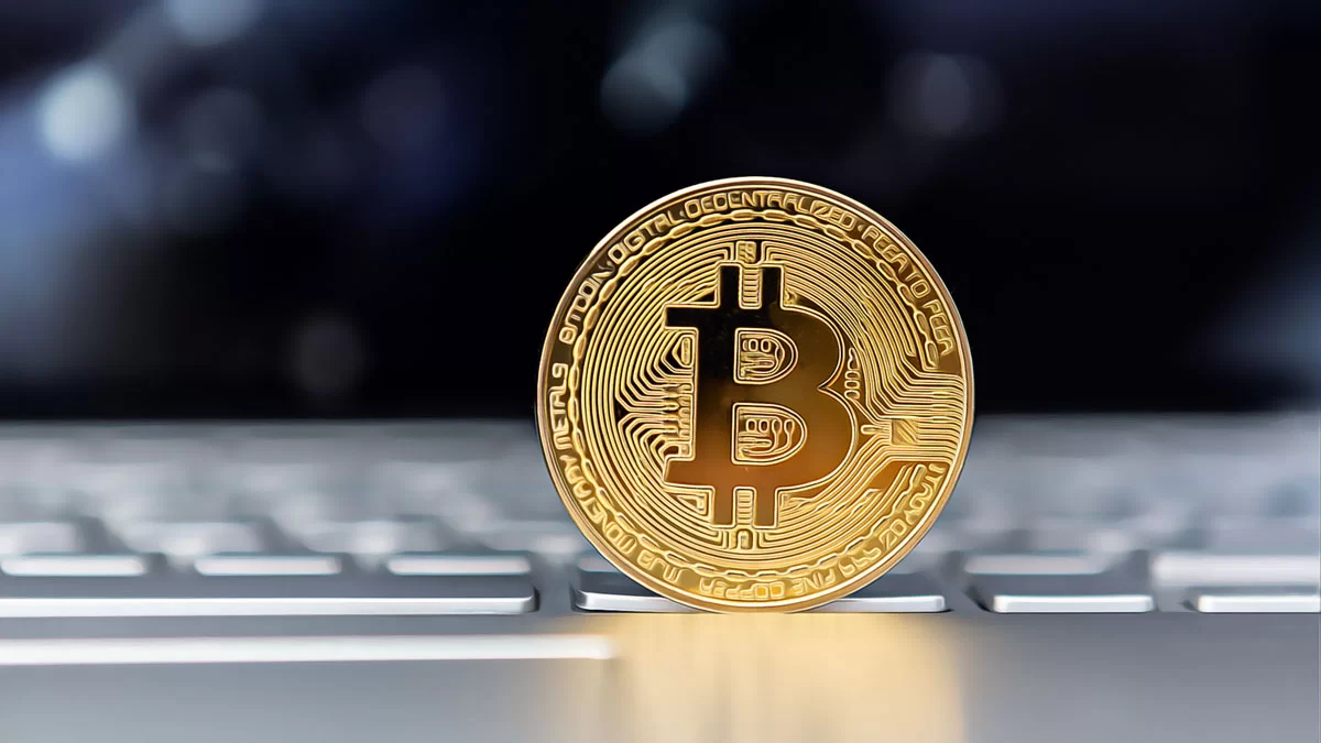 Whale Investors and Bitcoin’s Market Equilibrium